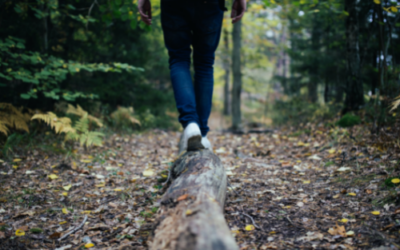 Achieving Work-Life Wellness