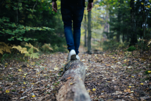 Achieving Work-Life Wellness